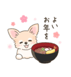 【年末年始】チワワちゃん年賀スタンプ再販（個別スタンプ：9）