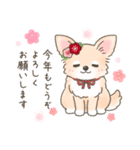 【年末年始】チワワちゃん年賀スタンプ再販（個別スタンプ：10）
