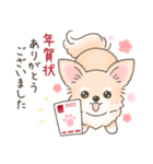 【年末年始】チワワちゃん年賀スタンプ再販（個別スタンプ：11）