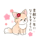 【年末年始】チワワちゃん年賀スタンプ再販（個別スタンプ：12）