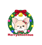 【年末年始】チワワちゃん年賀スタンプ再販（個別スタンプ：14）