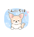 【年末年始】チワワちゃん年賀スタンプ再販（個別スタンプ：17）