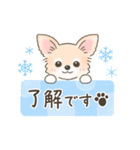 【年末年始】チワワちゃん年賀スタンプ再販（個別スタンプ：19）