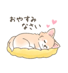 【年末年始】チワワちゃん年賀スタンプ再販（個別スタンプ：23）