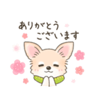 【年末年始】チワワちゃん年賀スタンプ再販（個別スタンプ：25）