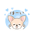 【年末年始】チワワちゃん年賀スタンプ再販（個別スタンプ：26）