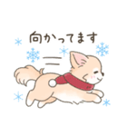 【年末年始】チワワちゃん年賀スタンプ再販（個別スタンプ：27）