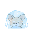 【年末年始】チワワちゃん年賀スタンプ再販（個別スタンプ：30）