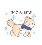 【年末年始】チワワちゃん年賀スタンプ再販（個別スタンプ：31）