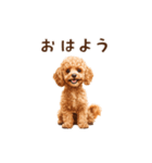 トイプードルのゆるっとアニメーション♪（個別スタンプ：1）