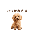 トイプードルのゆるっとアニメーション♪（個別スタンプ：2）