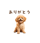 トイプードルのゆるっとアニメーション♪（個別スタンプ：6）