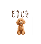 トイプードルのゆるっとアニメーション♪（個別スタンプ：7）