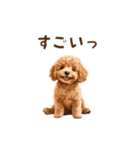 トイプードルのゆるっとアニメーション♪（個別スタンプ：15）