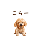 トイプードルのゆるっとアニメーション♪（個別スタンプ：17）
