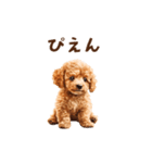 トイプードルのゆるっとアニメーション♪（個別スタンプ：19）