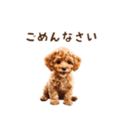 トイプードルのゆるっとアニメーション♪（個別スタンプ：20）
