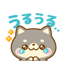 全肯定♡ 豆柴日和（個別スタンプ：14）