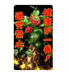 美しい言語（個別スタンプ：13）