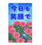 美しい言語（個別スタンプ：16）