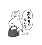 三毛ママの顔も三度まで 修正版（個別スタンプ：8）