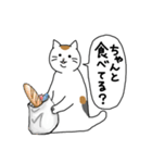 三毛ママの顔も三度まで 修正版（個別スタンプ：37）