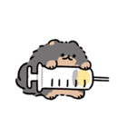 ぺたぺたポメトーン（mix）（個別スタンプ：30）