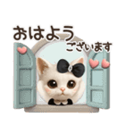 毎日ずっ〜と使える♡愛猫のご挨拶【3D】（個別スタンプ：13）