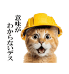 リアル猫★現場仕事（ストレス）（個別スタンプ：24）