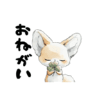 動く！フェネック（個別スタンプ：7）