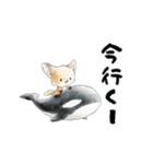 動く！フェネック（個別スタンプ：13）