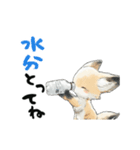 動く！フェネック（個別スタンプ：20）