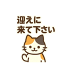 三毛猫のやさしい敬語（個別スタンプ：10）