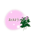 秋咲く花＊挨拶スタンプ（個別スタンプ：2）