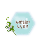 秋咲く花＊挨拶スタンプ（個別スタンプ：5）