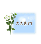 秋咲く花＊挨拶スタンプ（個別スタンプ：10）