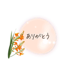 秋咲く花＊挨拶スタンプ（個別スタンプ：18）