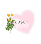秋咲く花＊挨拶スタンプ（個別スタンプ：19）