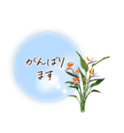 秋咲く花＊挨拶スタンプ（個別スタンプ：22）