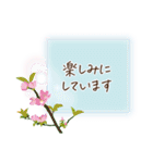 秋咲く花＊挨拶スタンプ（個別スタンプ：37）
