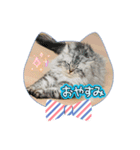 ROI-3（個別スタンプ：1）