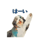 やさしい毎日どうぶつ（個別スタンプ：5）