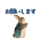 やさしい毎日どうぶつ（個別スタンプ：9）