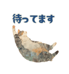 やさしい毎日どうぶつ（個別スタンプ：33）
