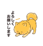 名前入りポメラニアンオレンジ（個別スタンプ：3）