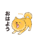 名前入りポメラニアンオレンジ（個別スタンプ：4）