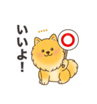 名前入りポメラニアンオレンジ（個別スタンプ：5）
