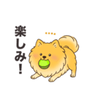名前入りポメラニアンオレンジ（個別スタンプ：7）