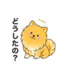 名前入りポメラニアンオレンジ（個別スタンプ：9）