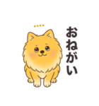 名前入りポメラニアンオレンジ（個別スタンプ：11）